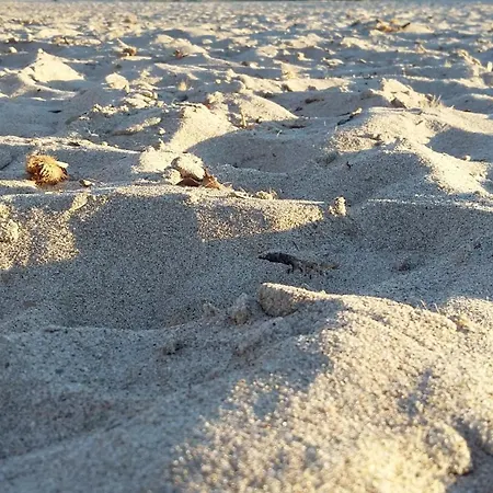 Casa Sa Breca Tertenìa