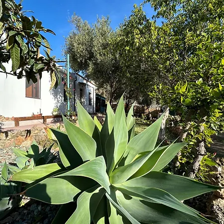Feriehus Casa Sa Breca *