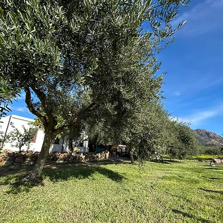 Casa Sa Breca Holiday home