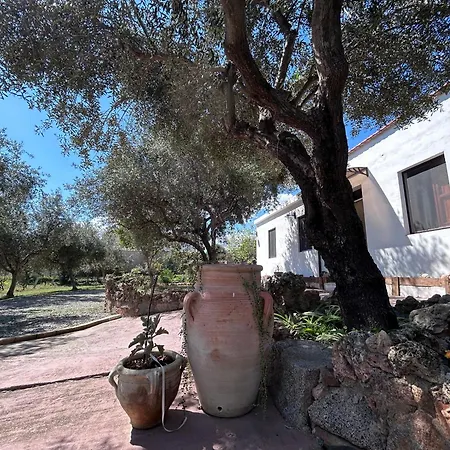Casa Sa Breca Hébergement de vacances Tertenìa