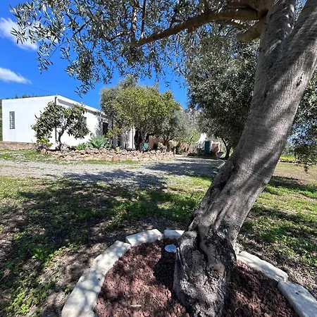 Casa Sa Breca Hébergement de vacances Tertenìa