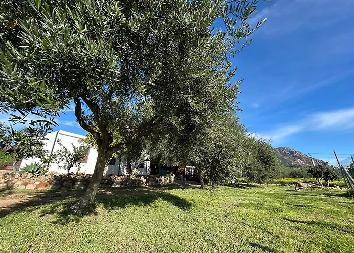 Casa Sa Breca Dom wakacyjny